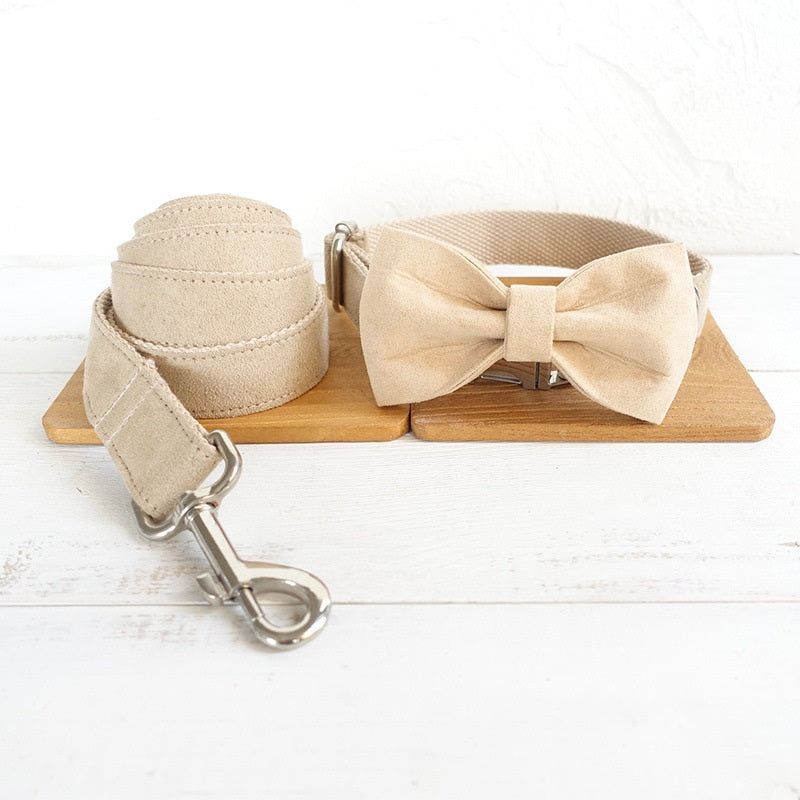 Dog Collar with Traction Rope Attachment